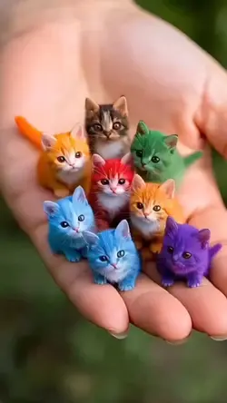 cute cats meme