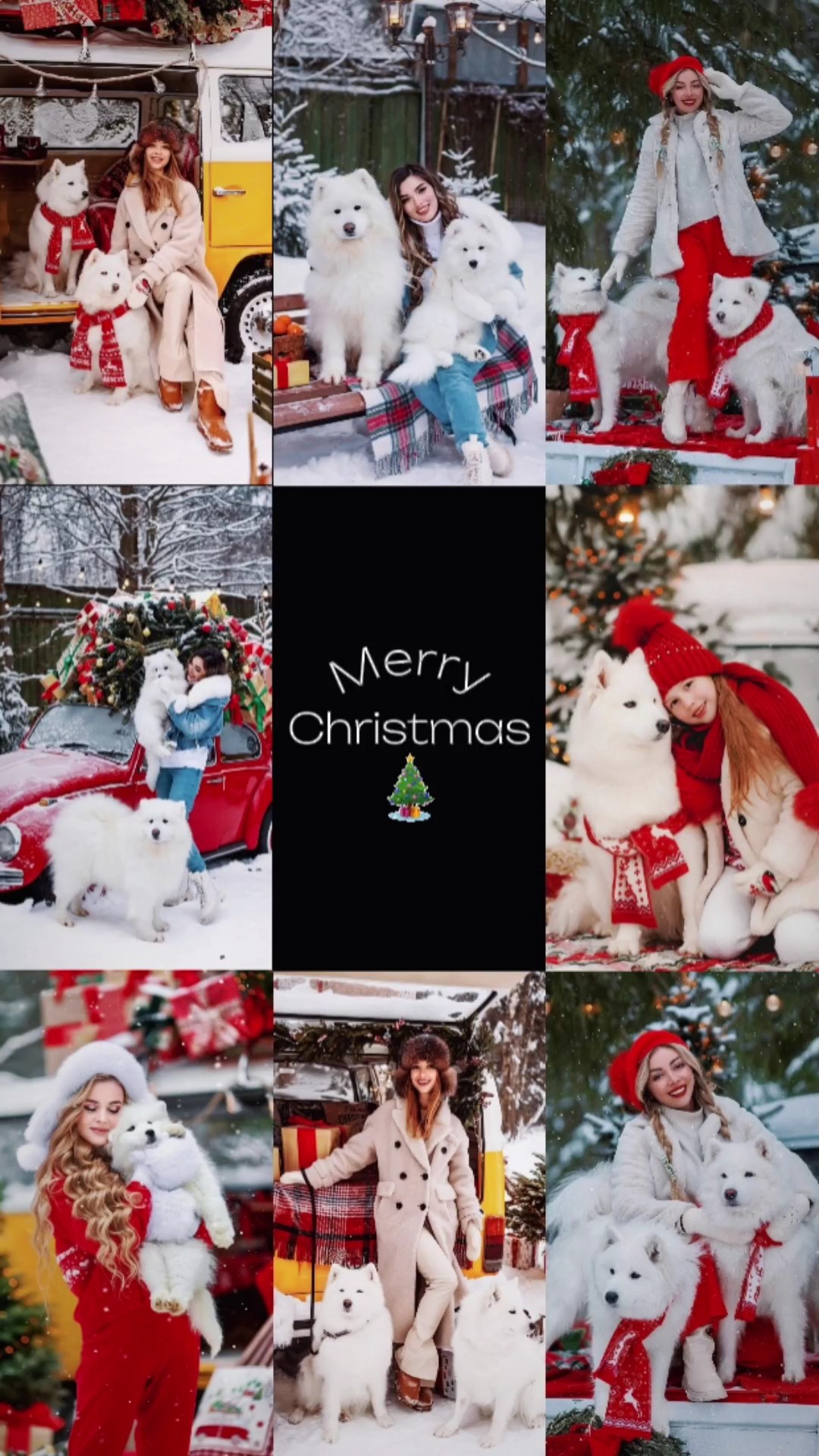 Natal com animais de estimação