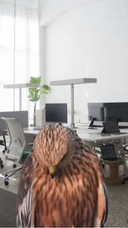 Arbeitsmeme #016