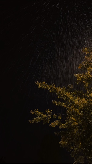 Úsala para lluvia 