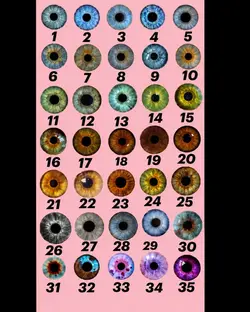eye color