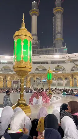 Qolbi fil madinah
