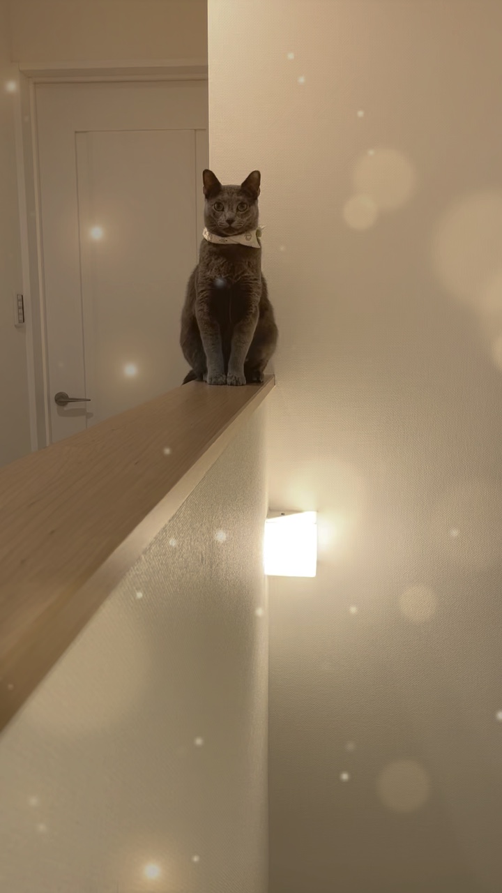 たのしみなさい　NOBU 