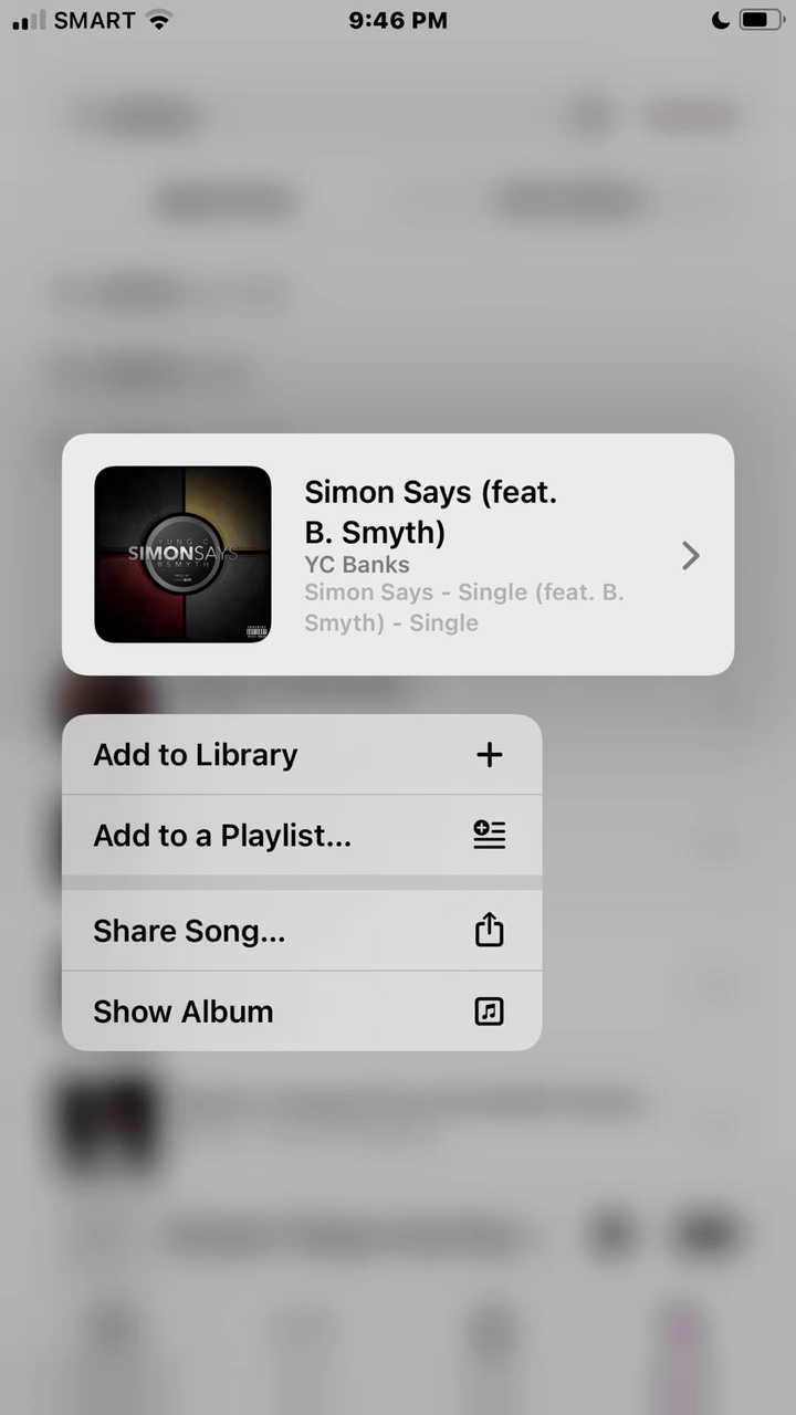 simon says mb