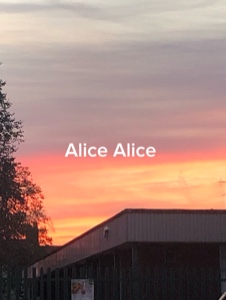 Alice, Alice 