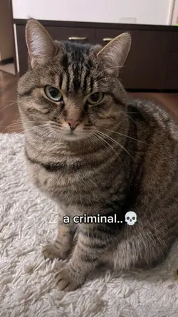 like a criminal 