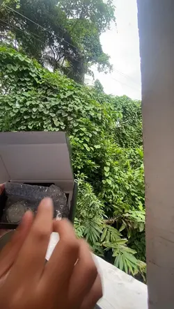 unboxing