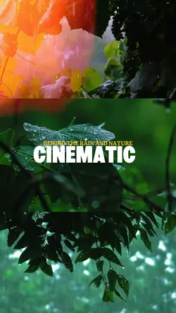 CINEMATIC PRO