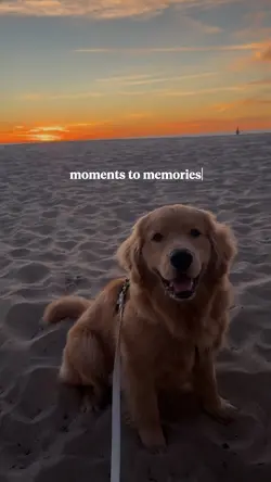memories