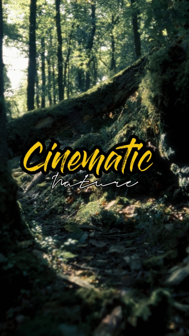 Kinoreife Natur 