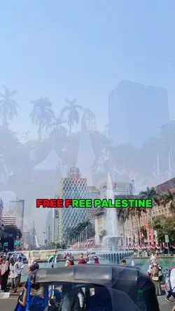 FREE FREE PALESTINE 