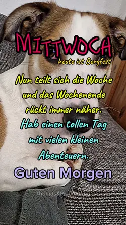 Guten Morgen 