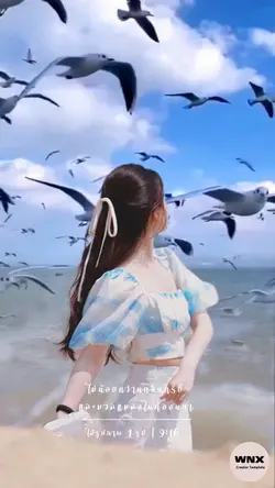 นกบินบนท้องฟ้า