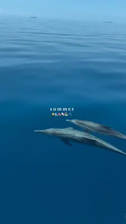 summer