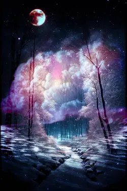 Forest meets Sunset