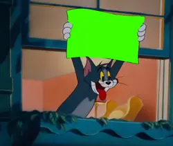 tom and Jerry photo