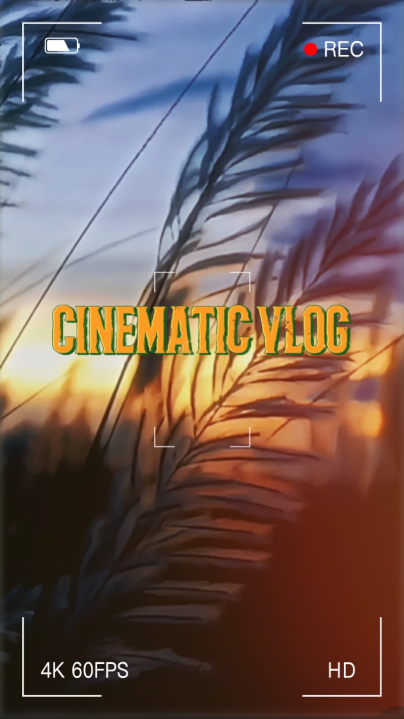 Vlog cinematográfico