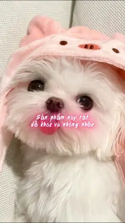 Mẫu cho cún yêu