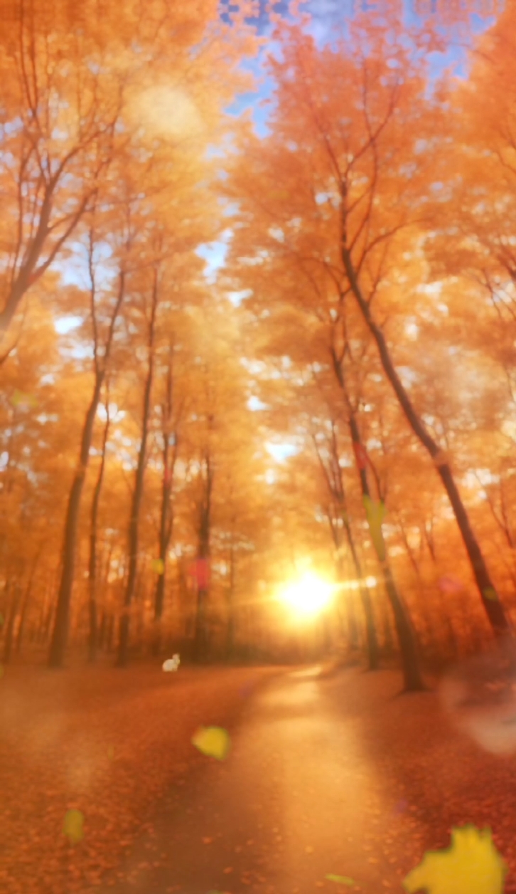 Autumn Leaves Fall