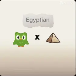 Duolingo Egypt
