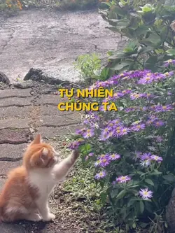 TỰ NHIÊN CHÚNG TA