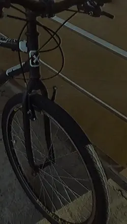 🤯processo/evolução