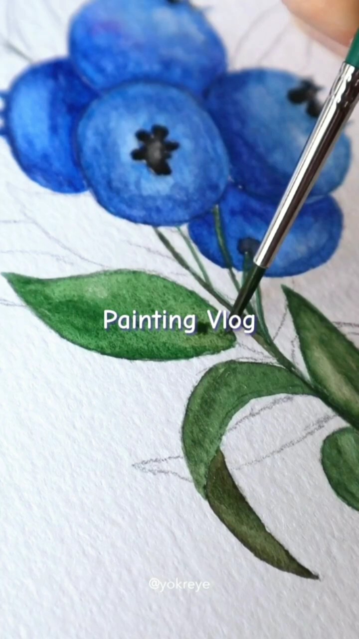 Boyama Vlog 'u