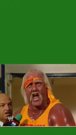 Hulk Hogan 