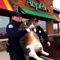 опасное задержание