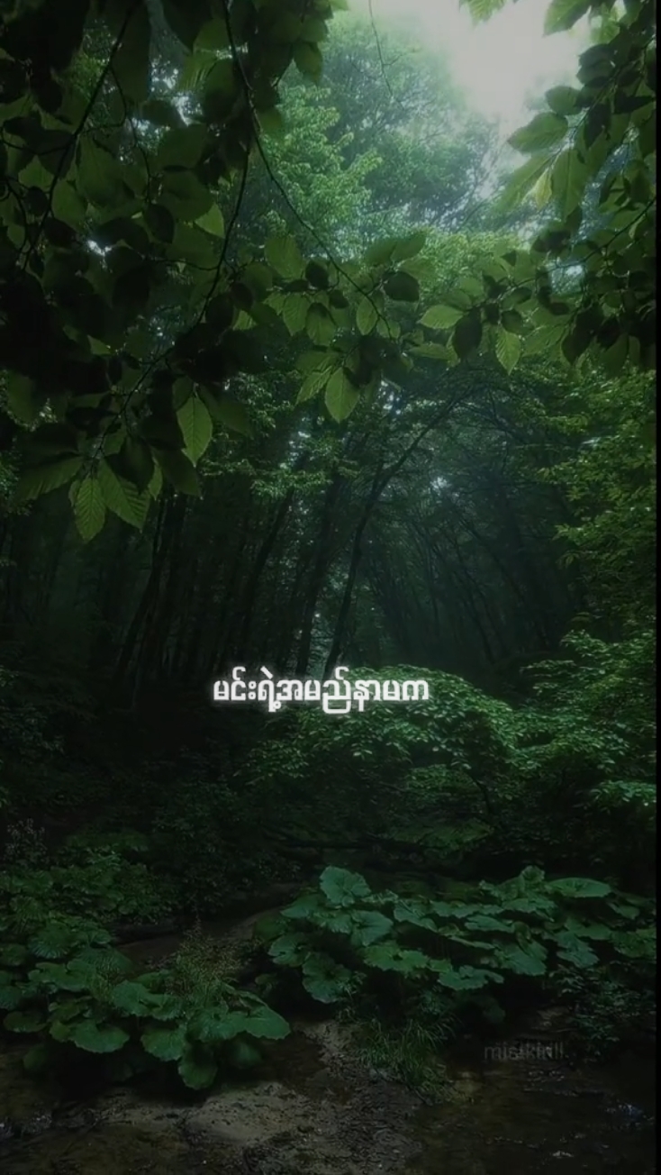 ဘဝမှာတစ်ခါဘဲချစ်ခွင့