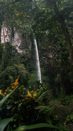 Amazing Nature