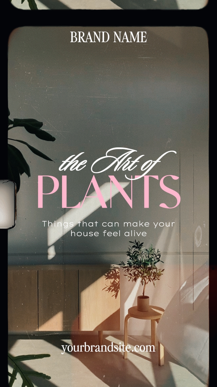 indoors plants