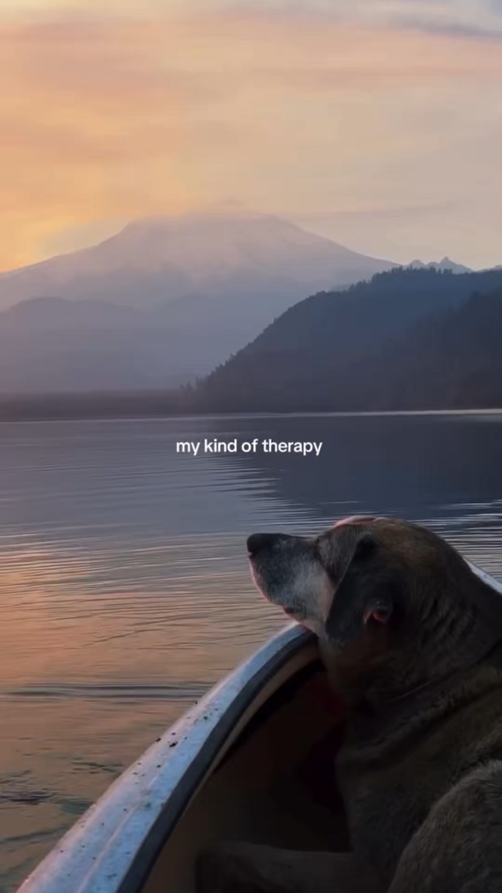Meu tipo de terapia 