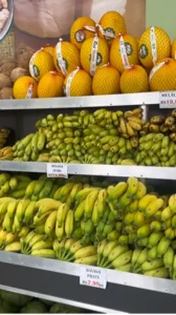 Hortifruti