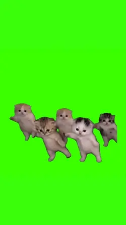 Kittens Vibing