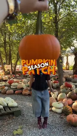 Pumpkin patch season