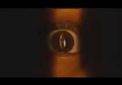 New fd movie
