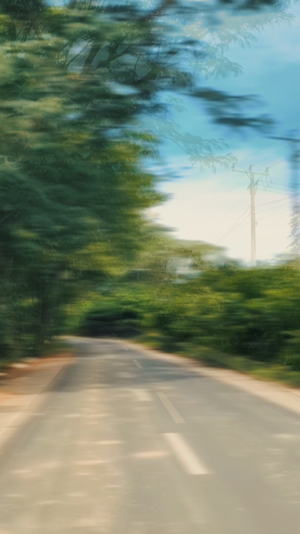 Nature slowmo