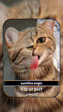 SUMILIRE ANGIN 