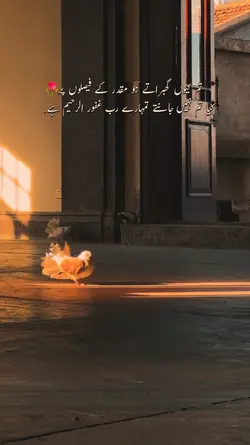 Islamic Poetry Lines