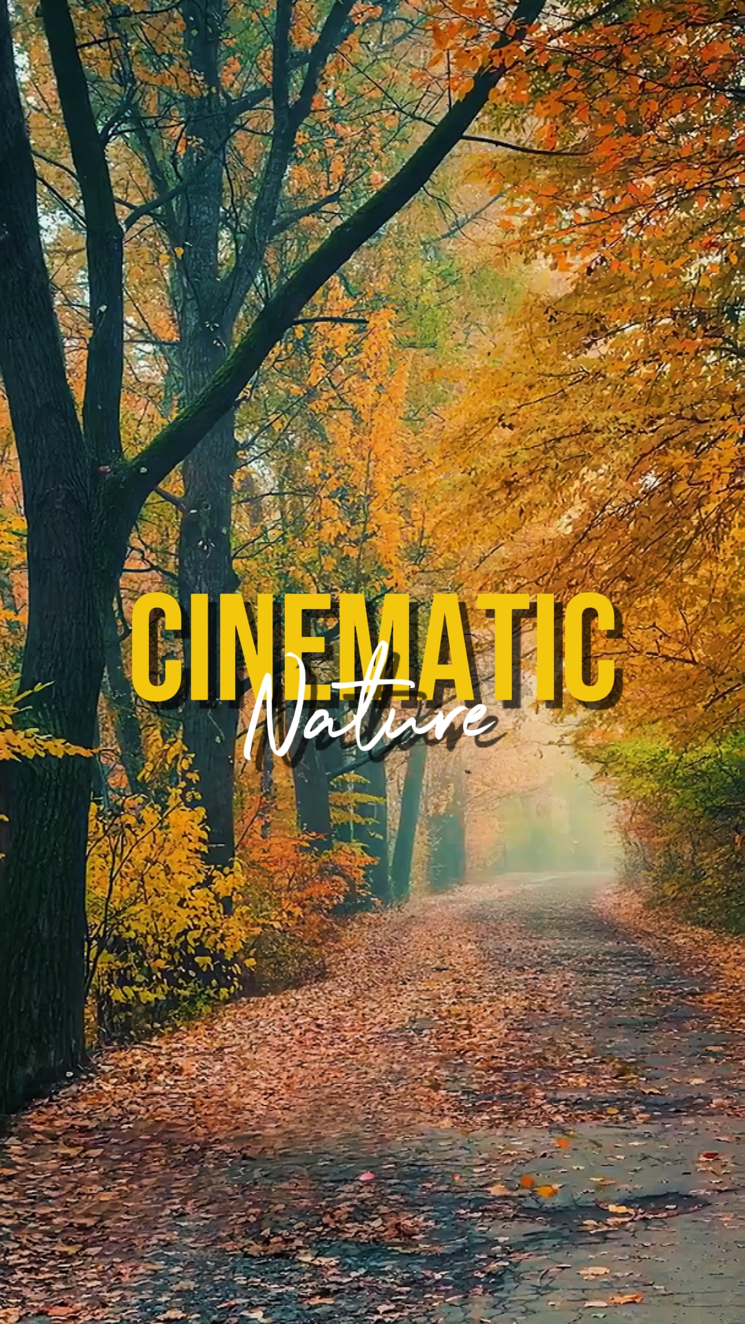 CINEMATIC NATURE