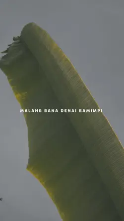 malang bana denai 