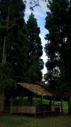 kidung kolosebo 