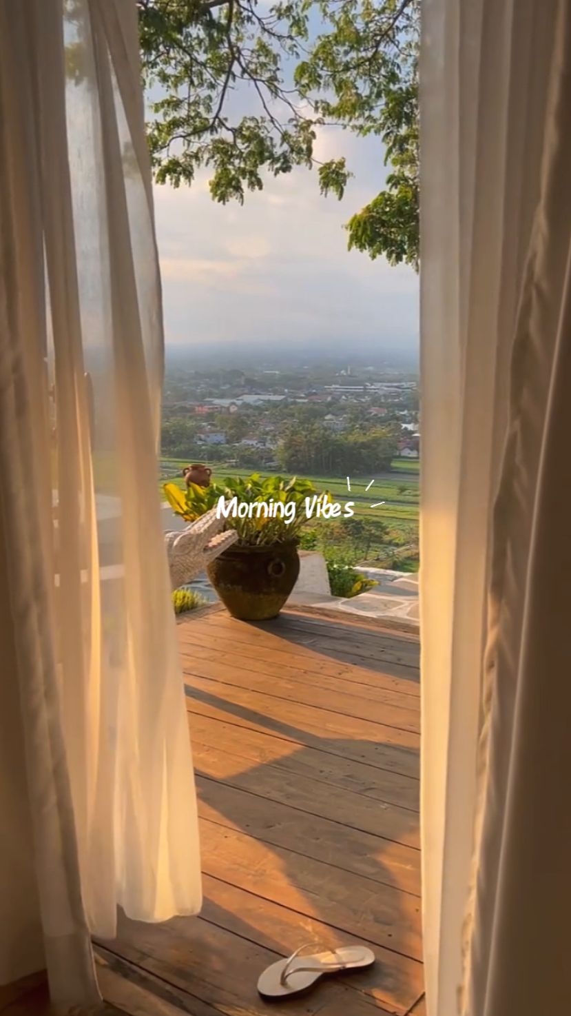 Morning vibes 