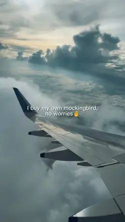 mockingbird 