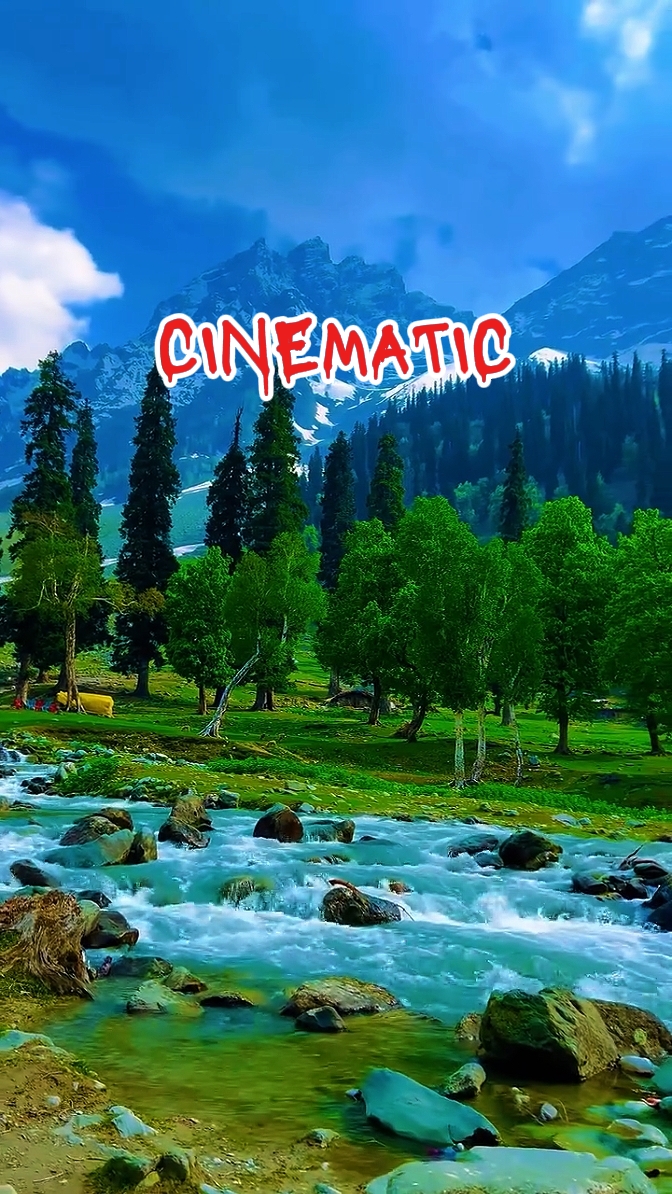 nature cinematic 
