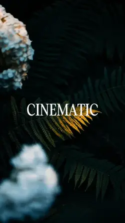 Cinematic