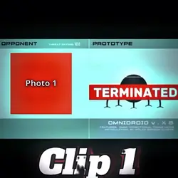 TERMINATED 