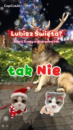 lubisz Święta?