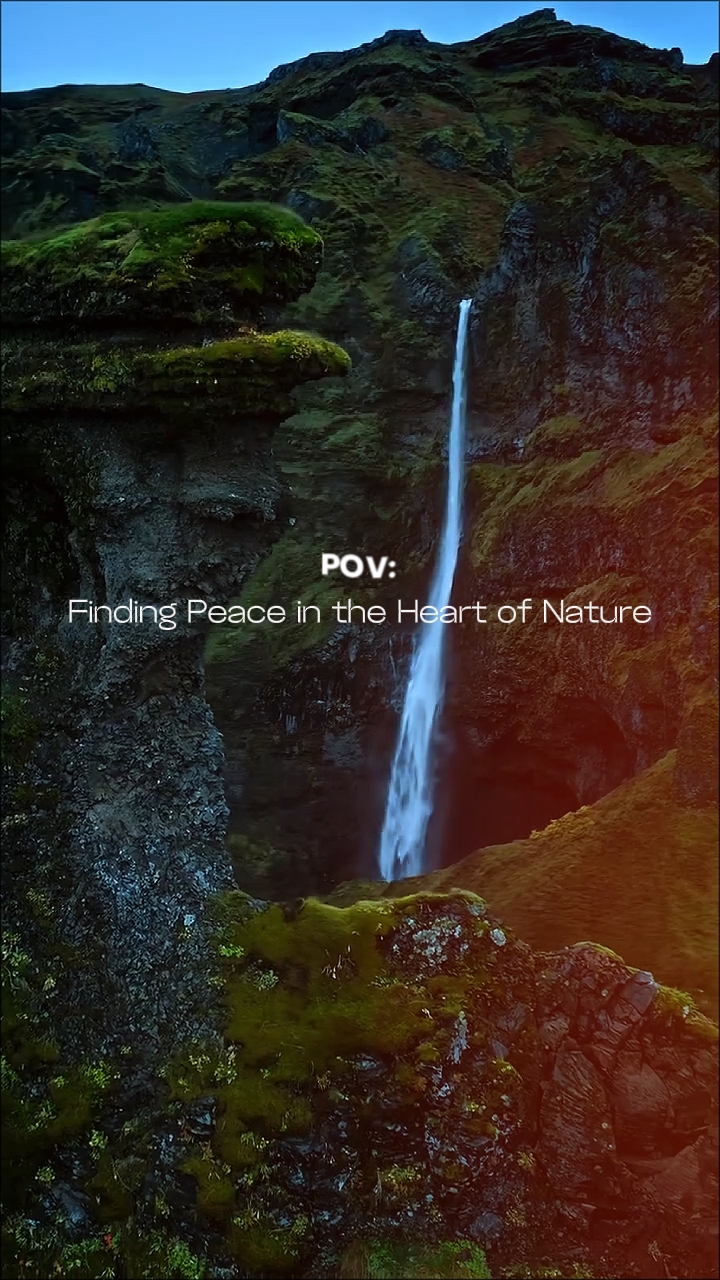 POV: Finding Peace 